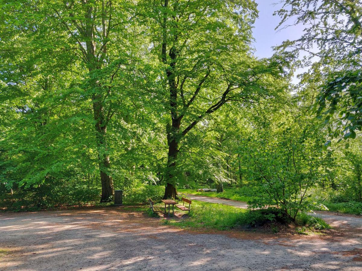 Dronninglund Appartements エクステリア 写真